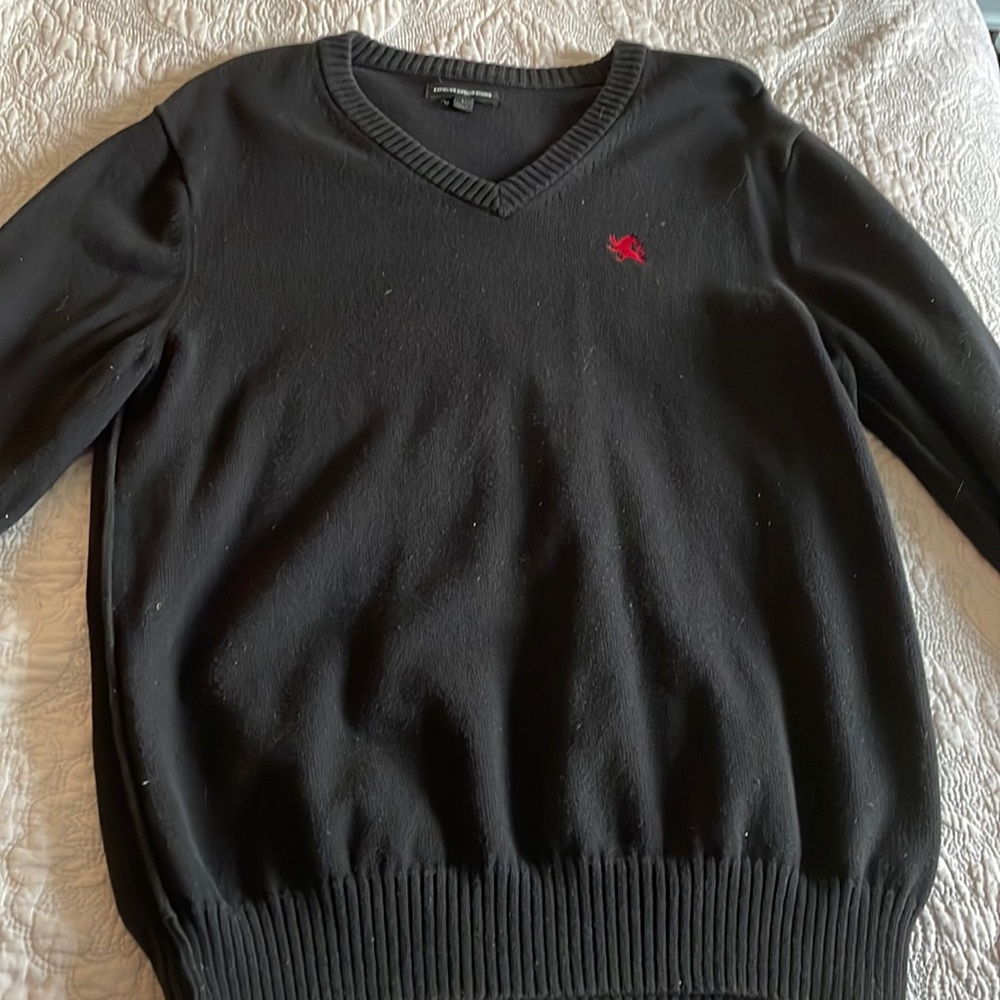 Express NWOT men’s v neck sweater